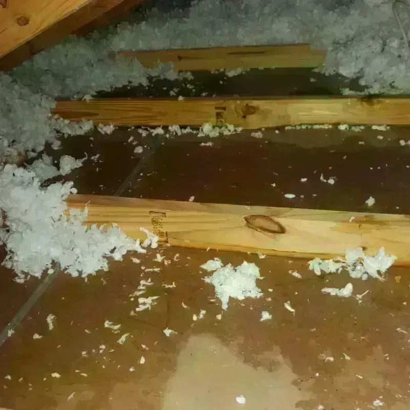 Attic Water Damage in Union City, OH