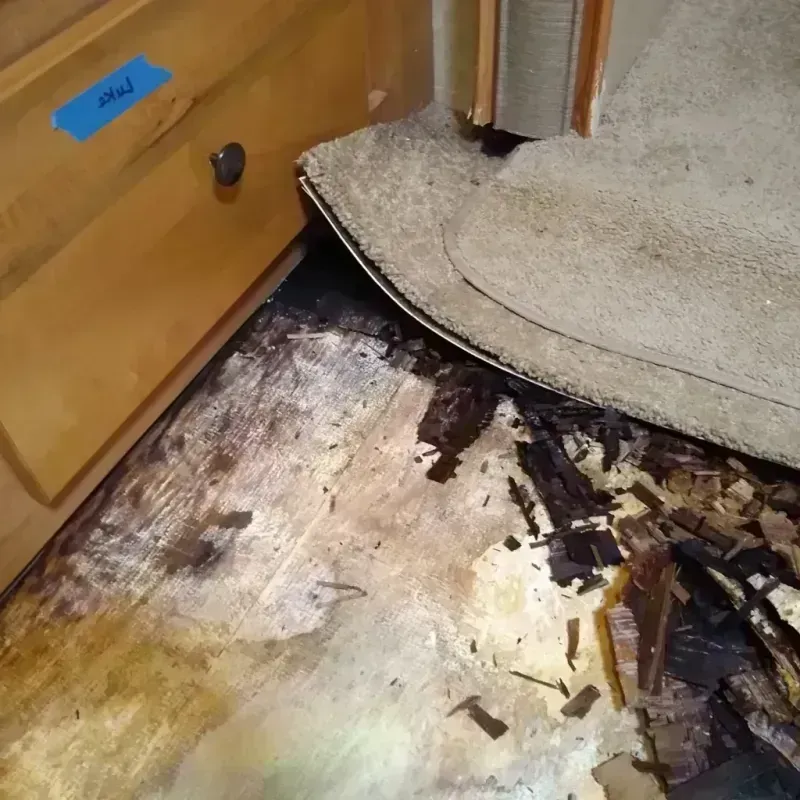 Wood Floor Water Damage in Union City, OH